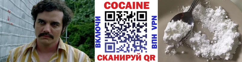 Cocaine FishScale  ссылка на мегу ССЫЛКА  Верхотурье  купить  цена 