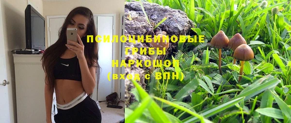 mdma Богородицк