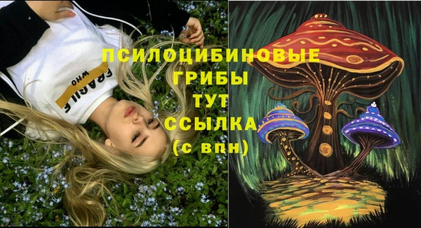 mdma Богородицк